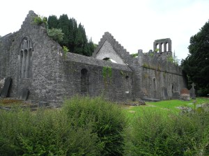 Ireland church ruins in a meadow