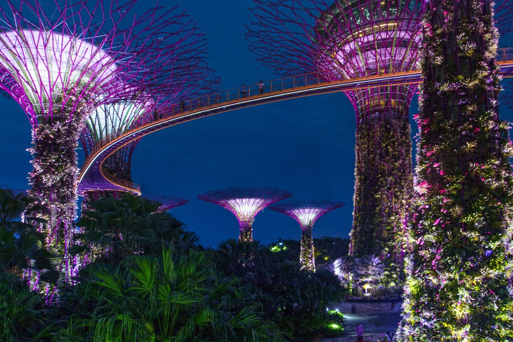Singapore Hidden Gems Night Gardens