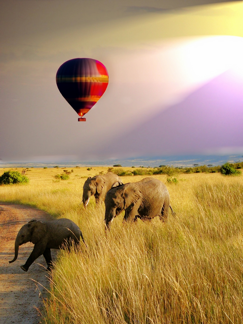 africa safari balloon