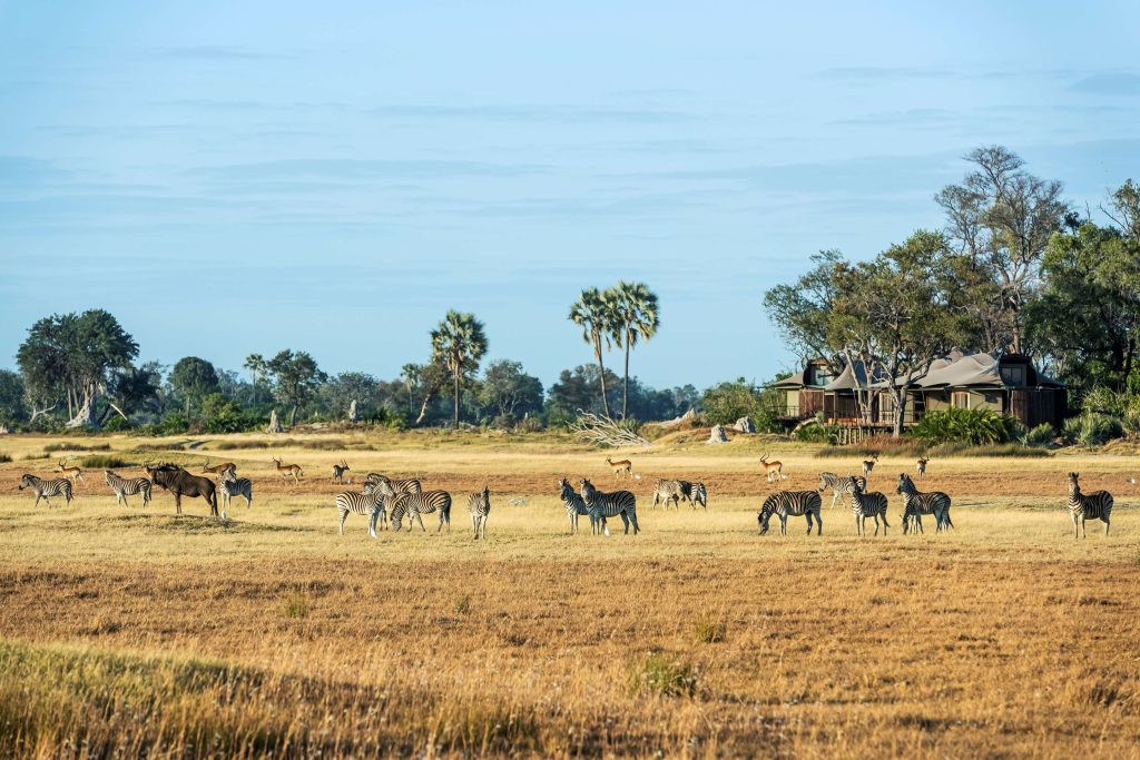 Xigera Safari Lodge Botswana Safari